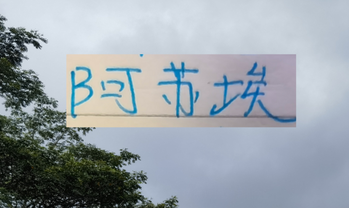 开云体育-海港也走捡漏路线了 22岁多哥外援会比24岁申花前锋高级吗
